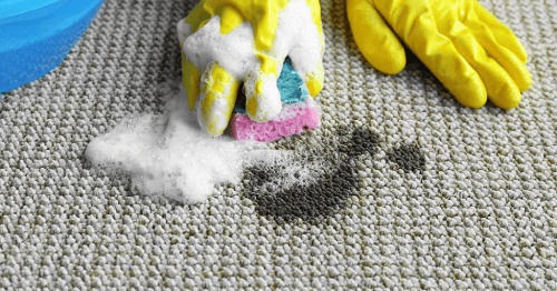 Eliminate-the-bad-smell-of-the-carpet