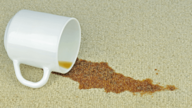 Eliminate-the-smell-of-damp-carpet
