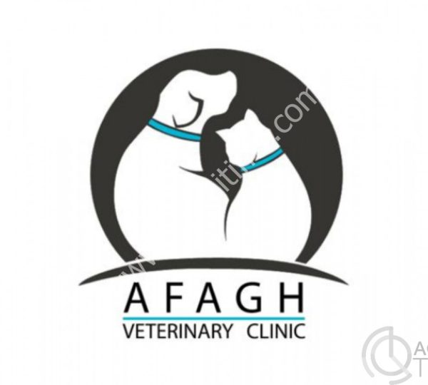 اورژانس حیوانات خانگی در منزل در صادقیه | کلینیک دامپزشکی آفاق