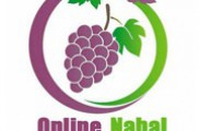 نهالستان آنلاین ستار رمضانی | مرکز تولید و فروش قلمه تبریزی و چنار