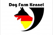 فروش و آموزش انواع سگ | داگ فارم کنل