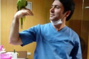 ویزیت تخصصی پرندگان در کرج | کلینیک دامپزشکی مرکزی کرج
