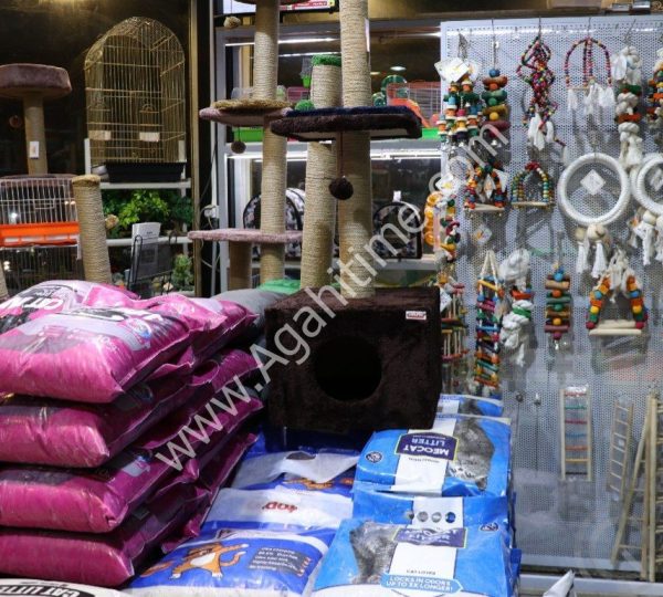 ملزومات و غذای حیوانات خانگی در شهرک چشمه | آکواریوم و پت شاپ پایتخت